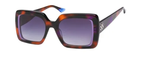 color__purple_tortoise_4