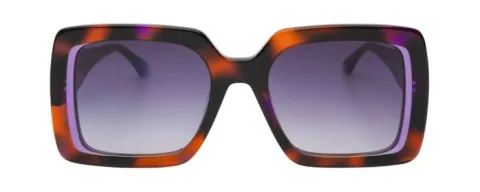 color__purple_tortoise_3
